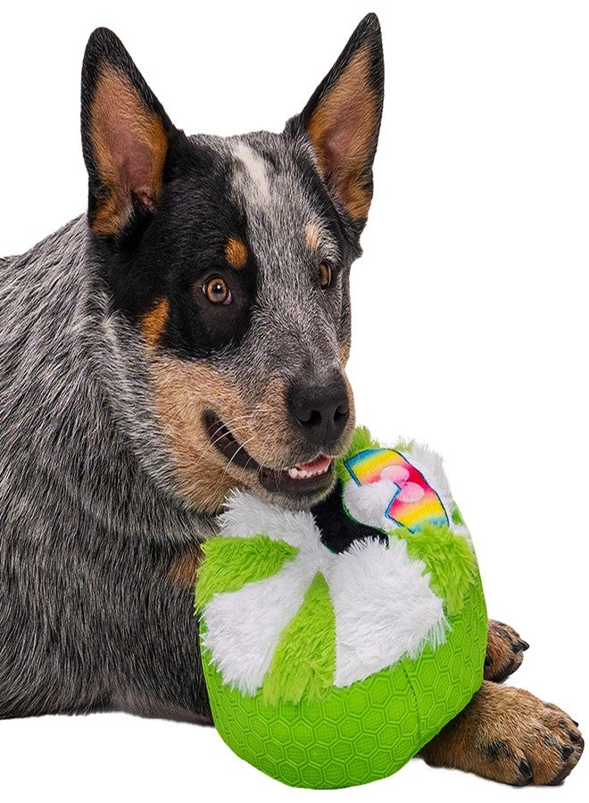 جو دوج مجموعة goDog للعطلات، لعبة كلاب مصنوعة من مواد مختلطة من مادة TPE-Plush بنكهة النعناع المنعش، مزودة بتقنية حماية من المضغ - أخضر/أبيض، مقاس واحد - Image 3